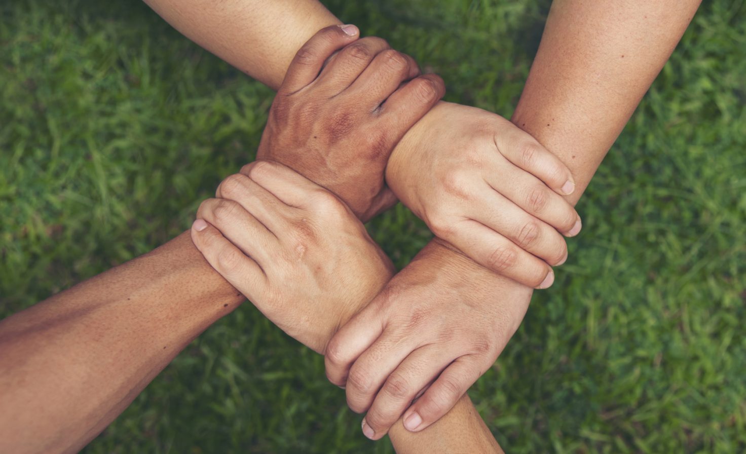 iStock-2149519455